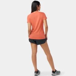 Women's Merino Short Sleeve Tee